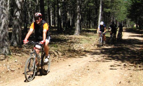 #12 BTT Cillamayor