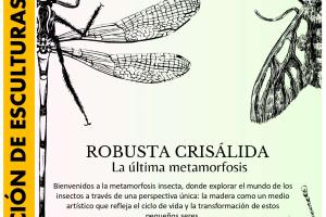 Exposición “Robusta Crisálida, La última metamorfosis”0